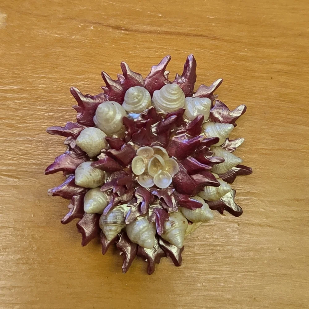 Vintage seashell brooch